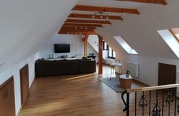 Casa deosebita, 535 mp, 1545 mp teren, in Cristian