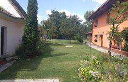 Casa deosebita, 535 mp, 1545 mp teren, in Cristian