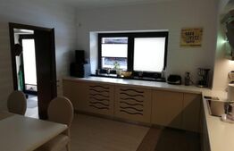 Casa deosebita, 535 mp, 1545 mp teren, in Cristian