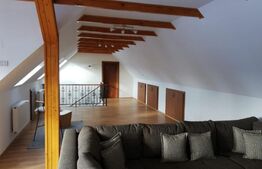 Casa deosebita, 535 mp, 1545 mp teren, in Cristian