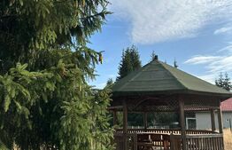 Cabana 10 camere, 220mp, mobilata si utilata, comuna Belis