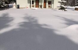 Cabana 10 camere, 220mp, mobilata si utilata, comuna Belis