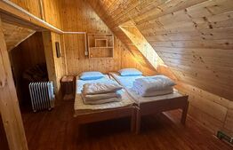 Cabana 10 camere, 220mp, mobilata si utilata, comuna Belis