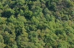 Apartament de 2 camere, Poarta Schei, 33 mp, ideal pentru investiție