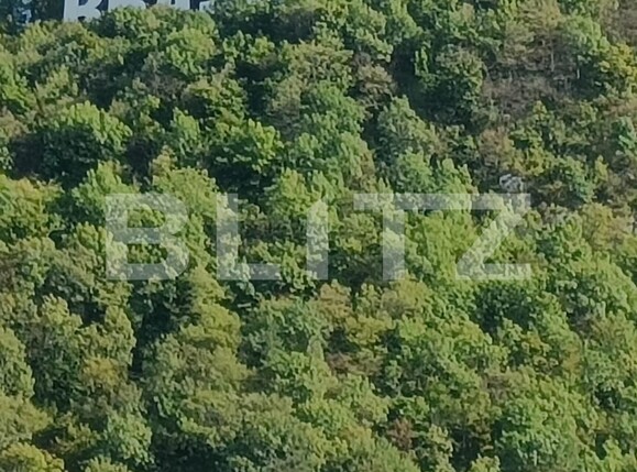 Apartament de vânzare 2 camere Brasovul Vechi - 128140AV | BLITZ Brașov | Poza2