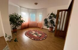 Casa individuala, 4 camere, 200 mp, 500 mp curte, pet friendly, zona Câmpului