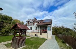 Casa individuala, 4 camere, 200 mp, 500 mp curte, pet friendly, zona Câmpului