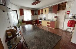 Casa individuala, 4 camere, 200 mp, 500 mp curte, pet friendly, zona Câmpului