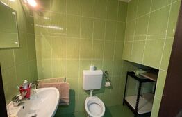 Casa individuala, 4 camere, 200 mp, 500 mp curte, pet friendly, zona Câmpului