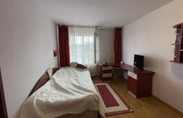 Casa individuala, 4 camere, 200 mp, 500 mp curte, pet friendly, zona Câmpului