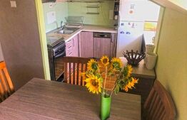 Apartament 3 camere in vila, 76.7 mp, zona Andrei Muresanu