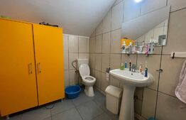 Casa individuala, 5 camere, 200 mp, 1000 mp curte, Dambul Rotund