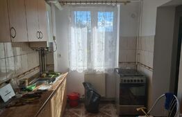 Apartament 2 camere, 50mp, zona Triaj