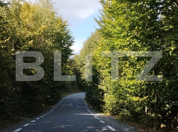 Teren de vânzare Salicea - 128386TV | BLITZ Cluj-Napoca | Poza1