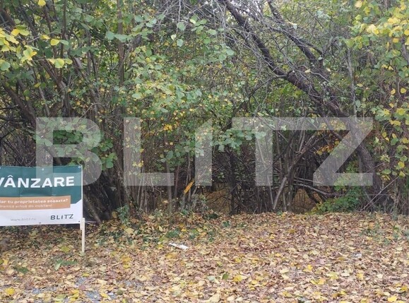 Teren de vânzare Salicea - 128386TV | BLITZ Cluj-Napoca | Poza2