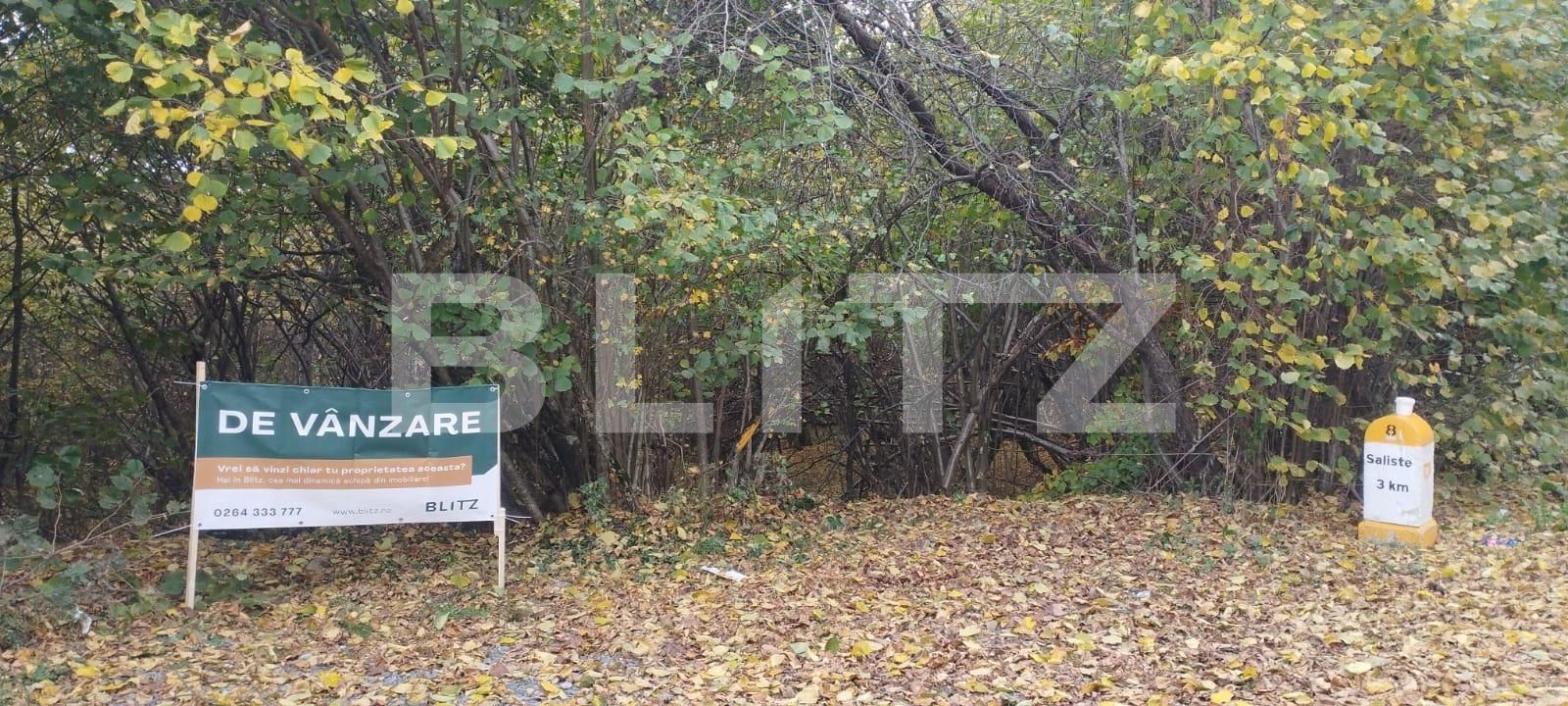 Teren de vânzare Salicea - 128386TV | BLITZ Cluj-Napoca | Poza2