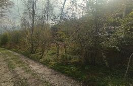 Teren extravilan 5029 mp, pasune impadurita, zona Lacul Micesti