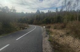 Teren extravilan 5029 mp, pasune impadurita, zona Lacul Micesti