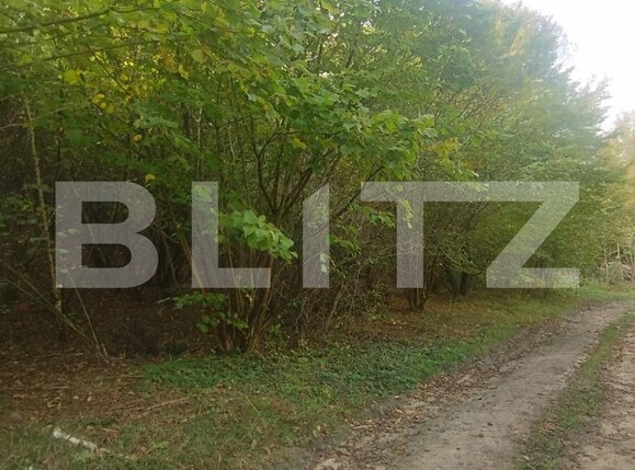 Teren de vânzare Salicea - 128396TV | BLITZ Cluj-Napoca | Poza3