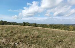 Teren 4197 mp, pasune extravilan, front la asfalt, Salicea