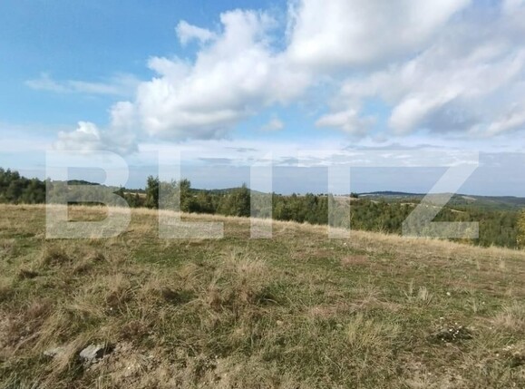 Teren de vânzare Salicea - 128399TV | BLITZ Cluj-Napoca | Poza3