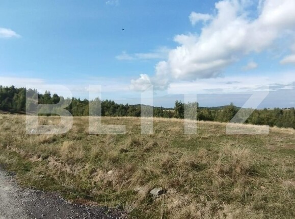 Teren de vânzare Salicea - 128399TV | BLITZ Cluj-Napoca | Poza2