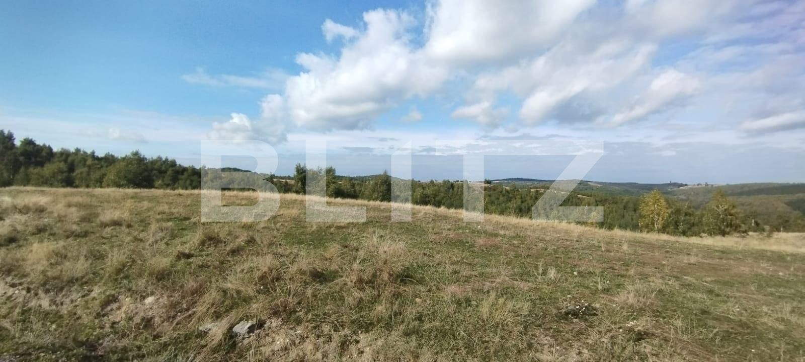 Teren de vânzare Salicea - 128399TV | BLITZ Cluj-Napoca | Poza3