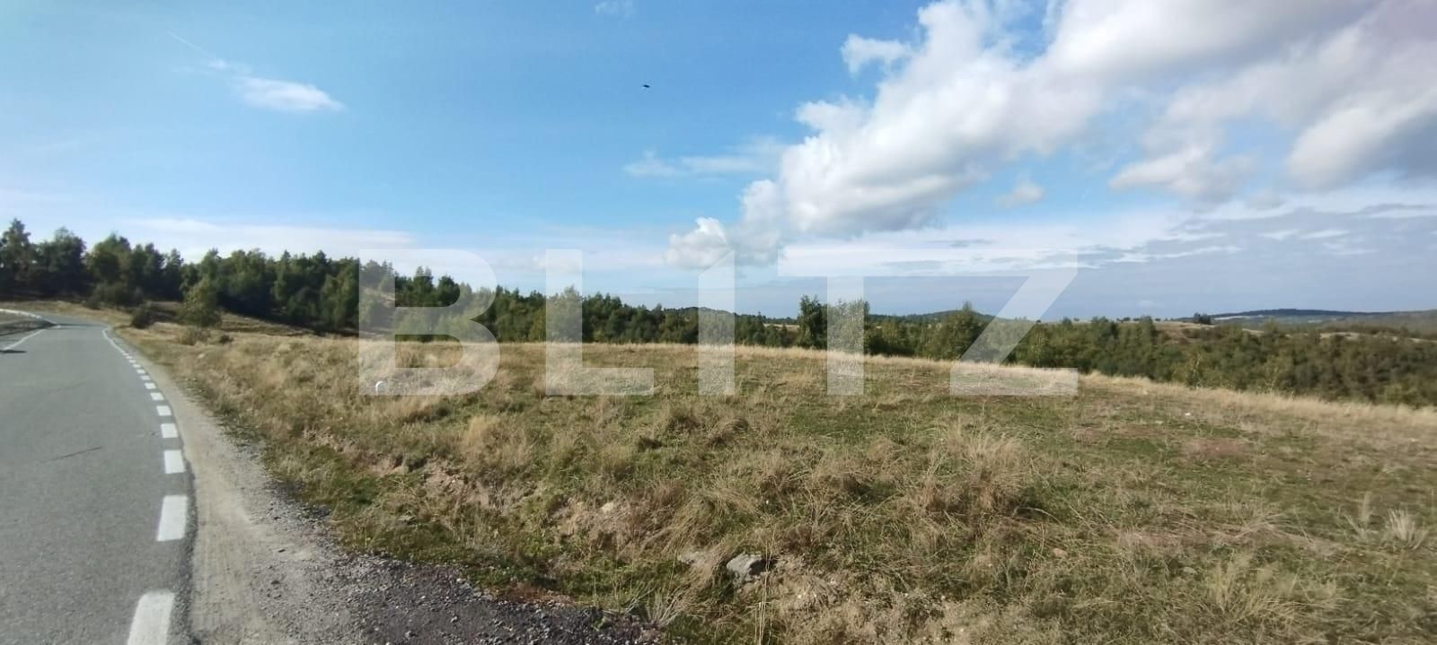 Teren de vânzare Salicea - 128399TV | BLITZ Cluj-Napoca | Poza2