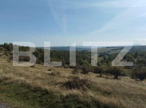 Teren de vânzare Salicea - 128400TV | BLITZ Cluj-Napoca | Poza1