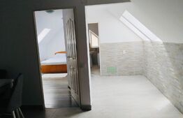 Apartament de 2 camere, 53mp, zona Muzeul Apei