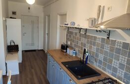 Apartament modern, 2 camere, 50mp, parcare, priveliste superba, Valea Garbaului