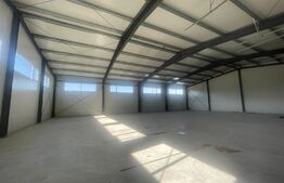 Hala la prima inchiriere pretabila pentru depozitare / logistica, Luna de Sus 