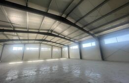 Hala la prima inchiriere pretabila pentru depozitare / logistica, Luna de Sus 