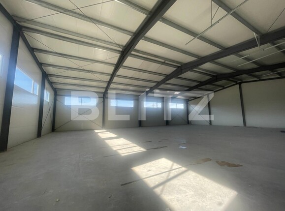 Spațiu industrial de închiriat Luna - 128418SII | BLITZ Cluj-Napoca | Poza4