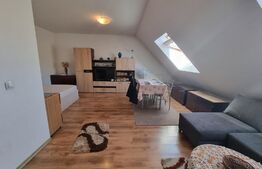 Garsoniera, 36mp, mobilata utilata, decomandata, zona Porii