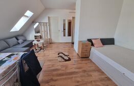 Garsoniera, 36mp, mobilata utilata, decomandata, zona Porii