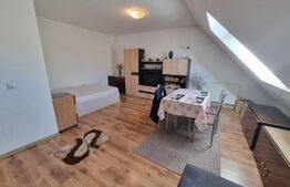 Garsoniera, 36mp, mobilata utilata, decomandata, zona Porii