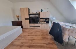 Garsoniera, 36mp, mobilata utilata, decomandata, zona Porii