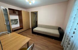 Apartament 2 camere, 45 mp, zona strazii Albac