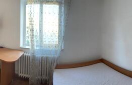 Apartament 2 camere, 45 mp, zona strazii Albac