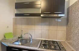 Apartament 2 camere, 40 mp, zona strazii Garoafelor