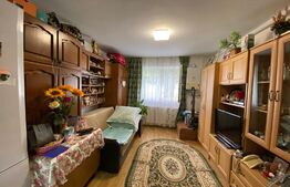 Garsoniera cocheta, 21mp, etaj intermediar, zona Iris