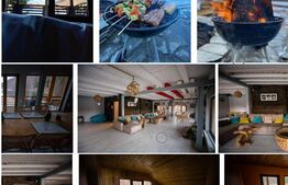 TARNITA FOREST LAKE – o afacere de lux, 12 camere, 346 mp, 4894 mp teren 