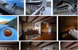 TARNITA FOREST LAKE – o afacere de lux, 12 camere, 346 mp, 4894 mp teren 