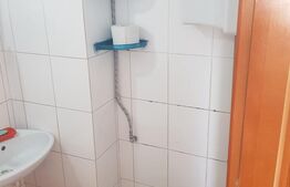 Garsoniera, 21 mp, zona Dambul Rotund 