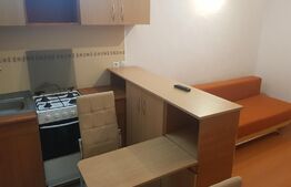 Garsoniera, 21 mp, zona Dambul Rotund 