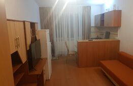 Garsoniera, 21 mp, zona Dambul Rotund 