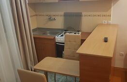 Garsoniera, 21 mp, zona Dambul Rotund 