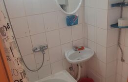 Garsoniera, 21 mp, zona Dambul Rotund 