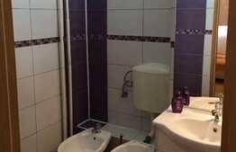 Apartament 2 camere, 50 mp, garaj, la prima inchiriere, zona strazii Tulcea!